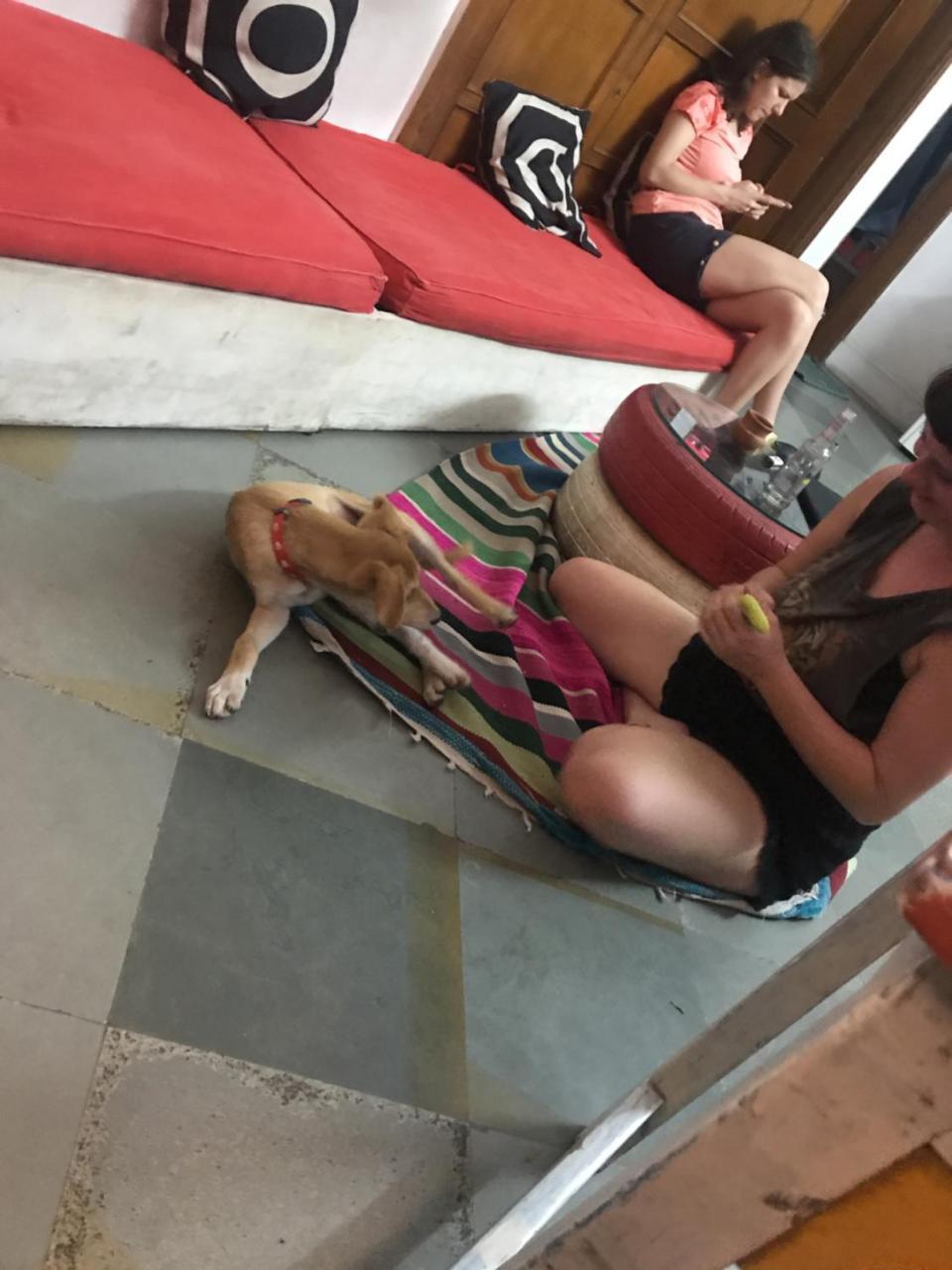 Doodle Rack Hostel Dźajpur Zewnętrze zdjęcie